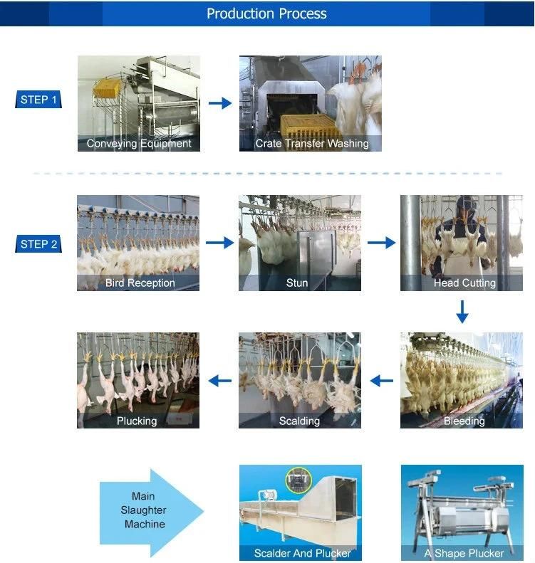 Cheap Price for Chicken Slaughter Machine Abattoir Slaughterhouse Duck Slaughtering Equipment