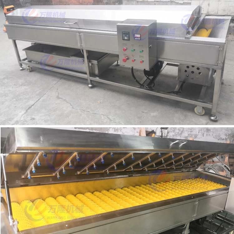 High Pressure Spray Vegetable Fruit Washer Washing Machine Brush Roller Cleaning Washing Machine Drying Machine