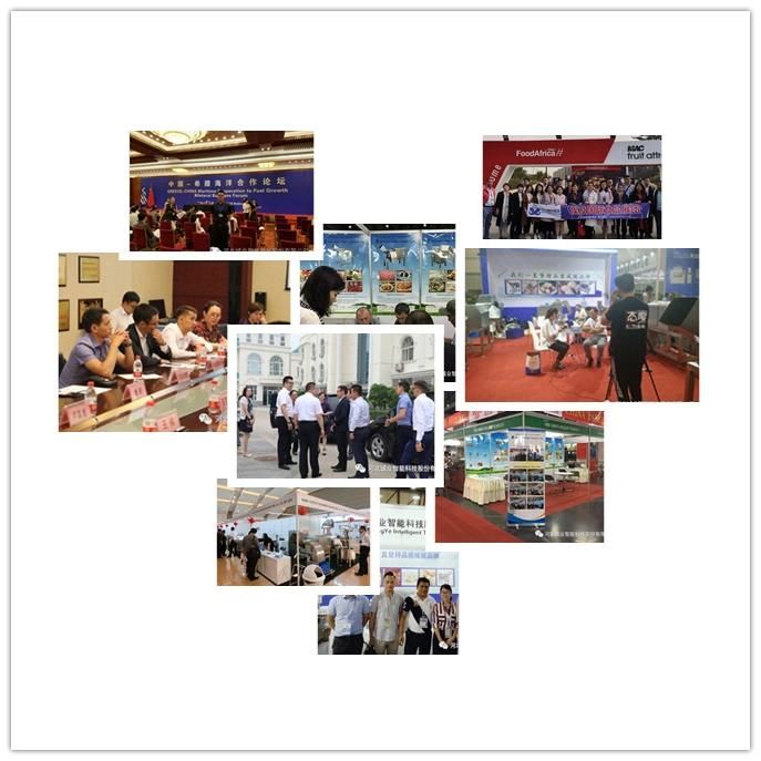 National Meat Machine Beef Cutting Machine Meat Strip Cutting Machine