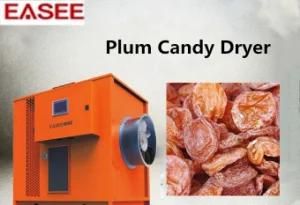 Commercial Type Food Processing Machine Plum Candy Dryer on Sale