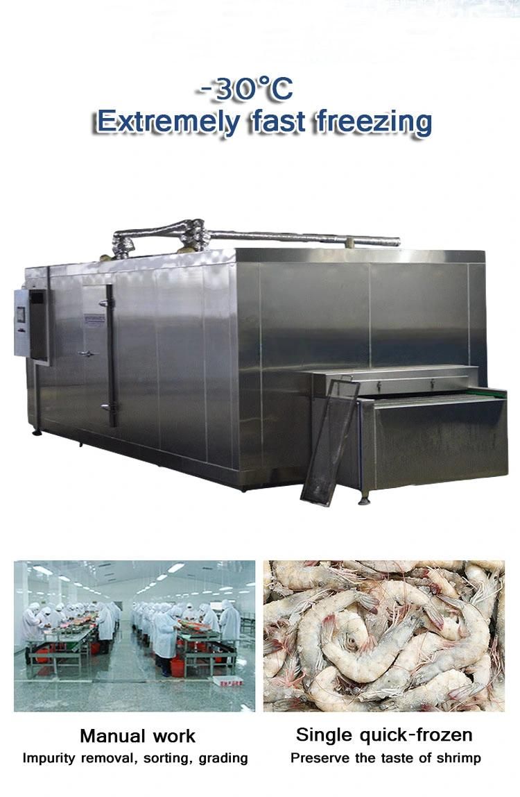 Individual Quick Freezing Machine IQF/Meat Quick Freezing Machine
