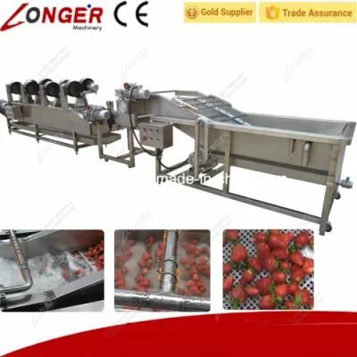 Complete in Specifications Commerical Vegetable Washer for Sale