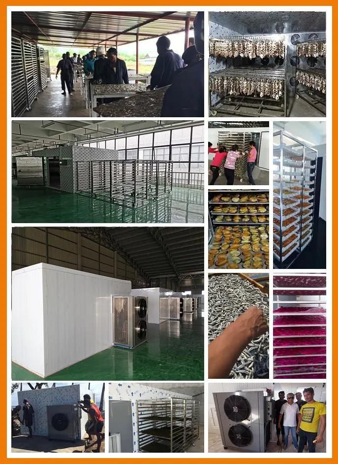 Automatic Start and Stop Culantro, Auricularia, Red Beans Dryer Machine Seafood, Meat, Fish, Leather Drying Equipment