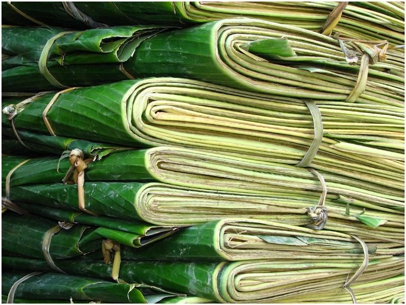 Automatic Banana Leaves Washer or Washing Machine