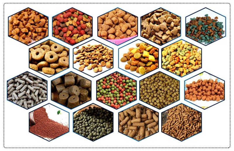 Automatic Stainless-Steel Pet Food Machinery Floating Fish Food Machine Dog Food Production Line