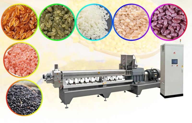 Artificial Fortified Nutritional Rice Twin Screw Extruder Making Processing Machine Production Line