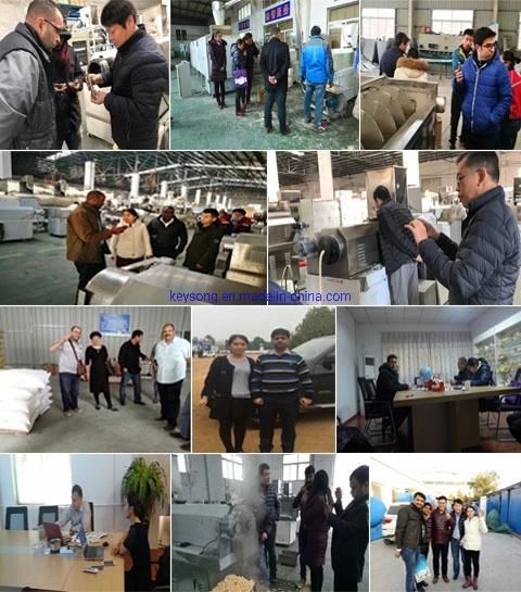 Potato Chips Full Production Line Food Processing Machinery