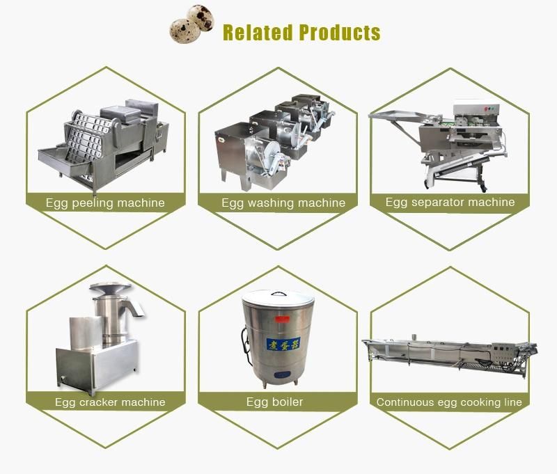 Stable Running Automatic Quail Egg Peeler