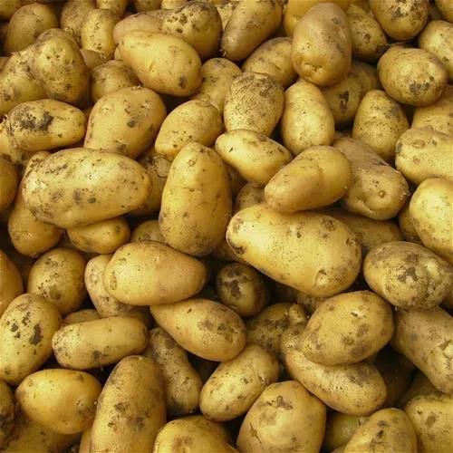 Potato Fries Cutter Potato Finger Chips Cutting Machine