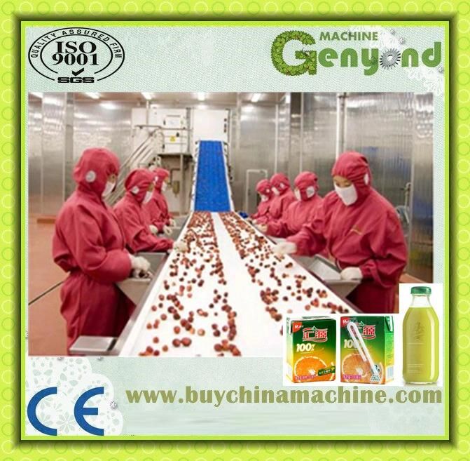 Orange Apple Fruit Juice Processing Line in China