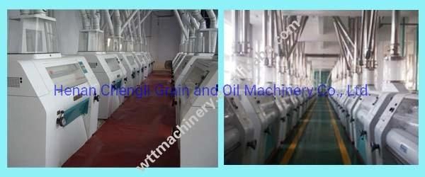 Wheat Flour Making Machine/Wheat Mill for Wheat Semolina/Semolino/Semola