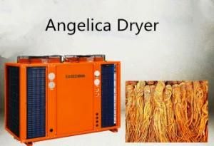 Agricultural Equipment System Wood Drying Machine/Angelica Dryer for Sale