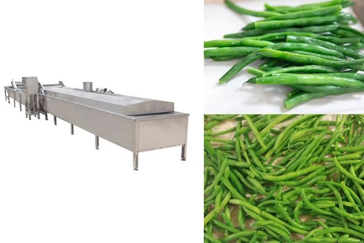 Cooking Systems for Vegetable Blanching Machine Bean Steam Blancher