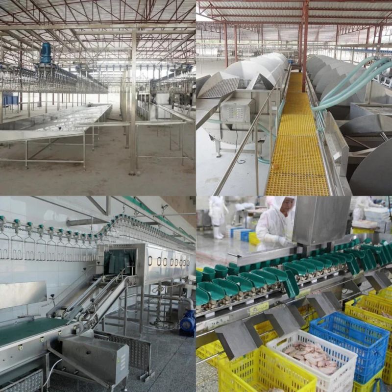 China Chicken Slaughter Production Line / Chicken Slaughter House for Sale