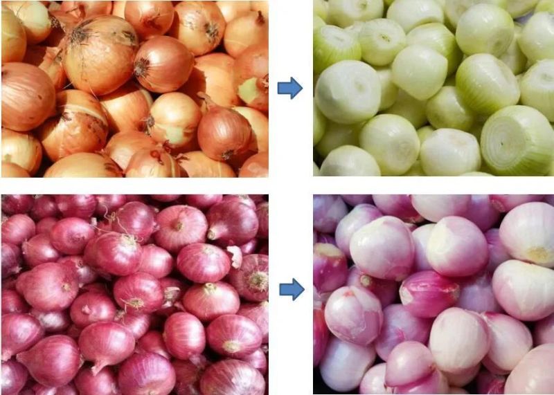 Full Automatic Onion Processing Line Onion Peeling and Cutting Machine Onion Peeling Machine