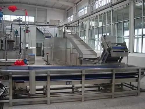 Small Capacity Mango Paste Processing Plant