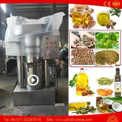 Almond Sesame Peanut Walnut Mini Oil Mill Groundnut Machine