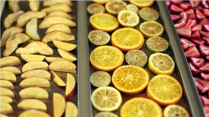 Dried Fruit Freeze Dryer Machine Fruit Vacuum Lyophilizer