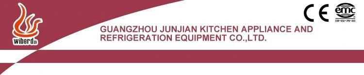Junjian Bql-198 2+1flavor Ice Cream Machine