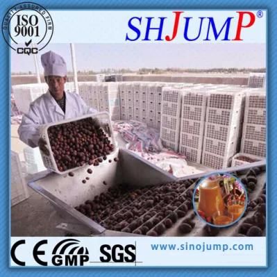 Jujube Juice Production Line /Jujube Paste Production Plant