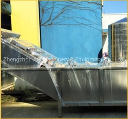 Fresh Fruit Mango Apple Cleaning Machine Bubble Vegetable Washing Machine