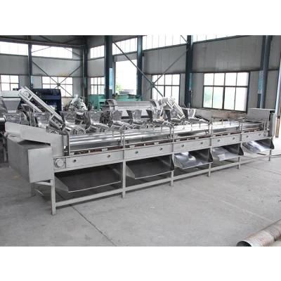 Hot Selling Vegetable and Fruit Size Sorting Machine