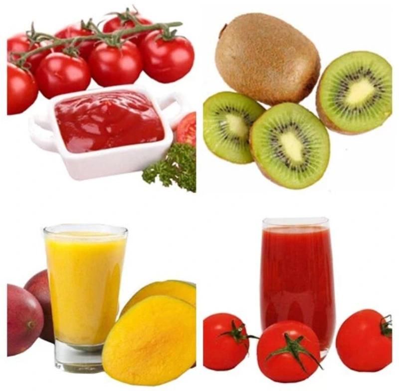Low Price of Fruit Pulping Machine with Two Years Warranty
