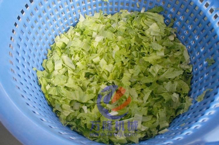 Leaf Vegetable Salad Lettuce Cabbage Spinach Washing Cutting Dewatering Drying Processing Production Line