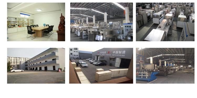 Automatic Cat Food Extruding Machine Extruder