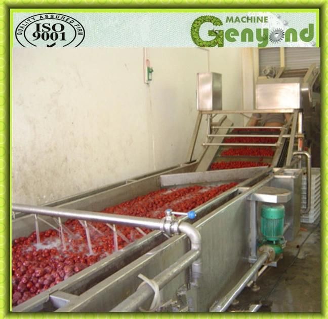 Bubble Cleaning Type Guava Washing Machines