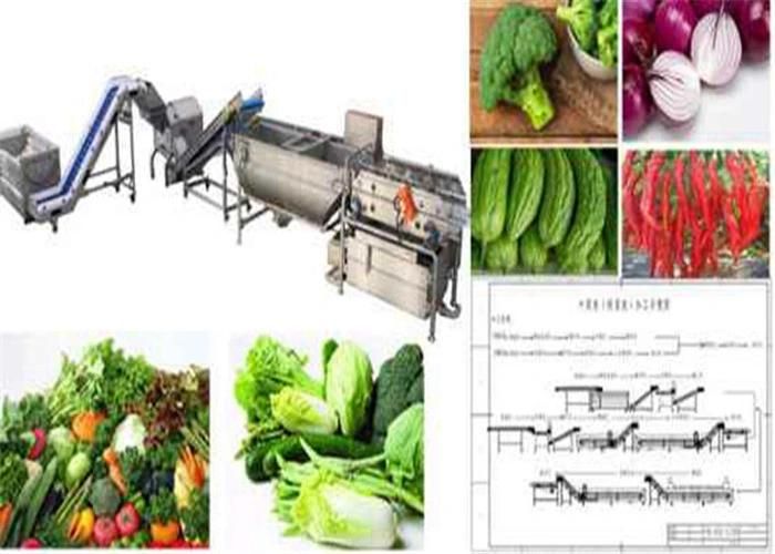 Good Operation Vegetable Fruit Air Bubble Washing Machine