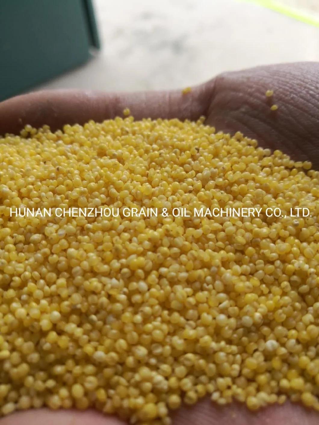 Clj Manufacturer Yellow Rice/Buckwheat/Highland Barley/Mollugo/Pentaphylla/Quinoasorghum/Corn Professional Processing Machine in Egypt Vietnam Thailand