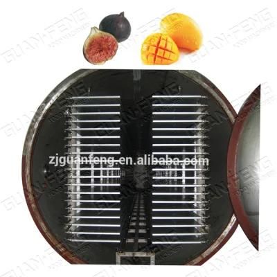 Vacuum Freeze Drying Fruit Equipment Dryer for Drying Fruit