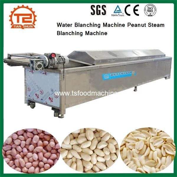 Food Processing Equipment Water Blanching Machine Peanut Steam Blanching Machine