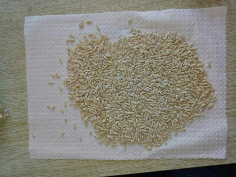 Clj Brand Buckwheat Processing Professional Auto Rice Mill Machine Buckwheat
