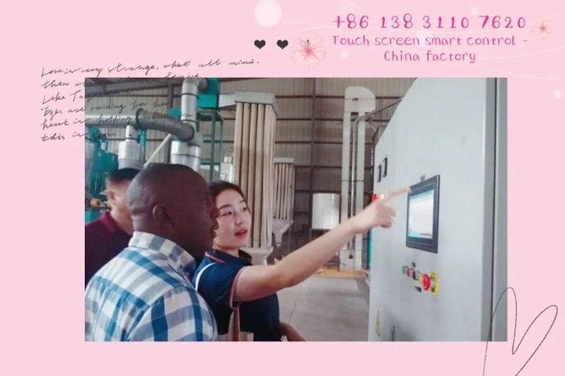 Small Scale Maize Milling Machines for Sale in Kenya