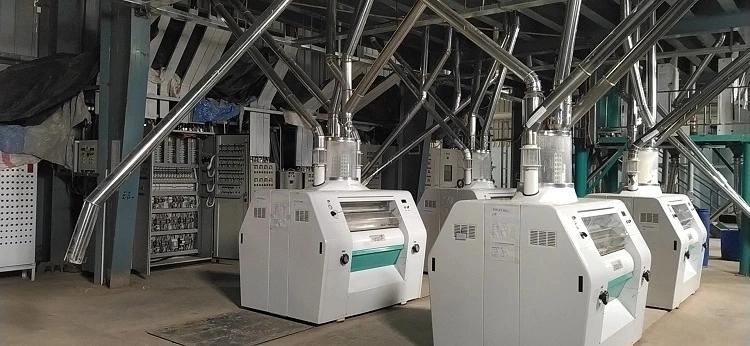 Hongdefa 10t Per 24h Maize Milling Machines South Africa