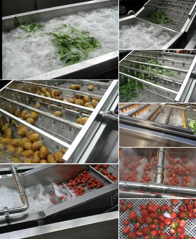 Sophisticated Technology Vegetable Cleaning Machine on Sale