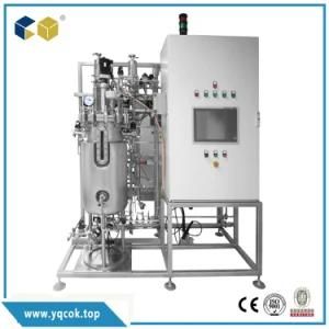Ce Automatic Stainless Steel Biological Bacteria Laboratory Fermentor Fermenter ...