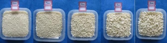 Japanese Panko  Bread  Crumb Extrusion Grinder