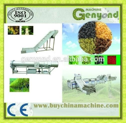 Raisin Packing Machine with Plastic Bag