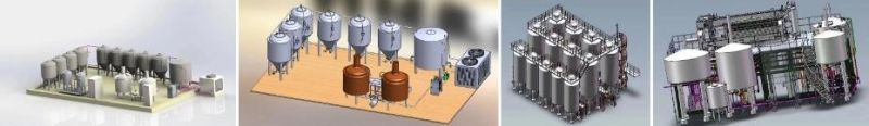Cassman 500L Micro Stainless Steel Beer Brewhouse with European CE Certification