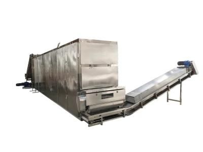 Continuous Drying Oven for Garlic Slices and Ginger Slices Multi-Function Dryer