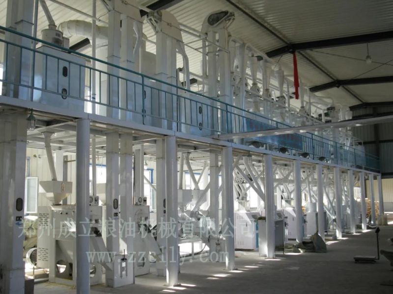 Maize Corn and Milling and Packing
