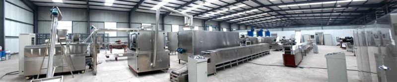Factory Cookie and Biscuit Making Machine Hot Sell in 2021