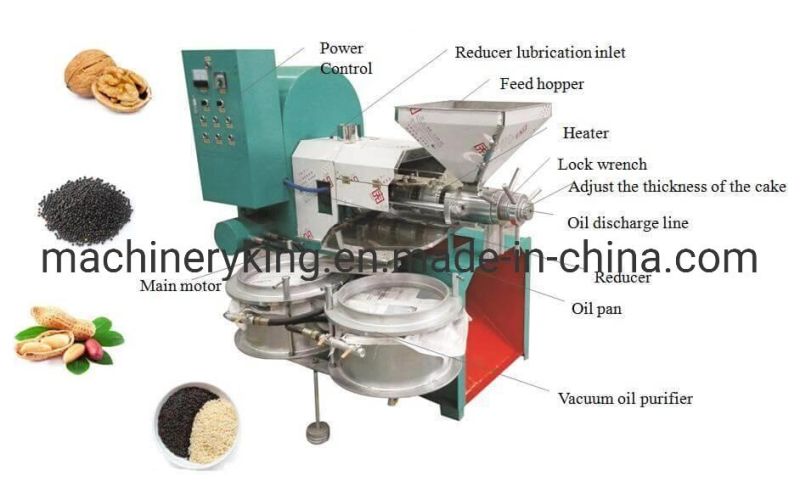Sesame Peanut Coconut Soybean Olive Small Auto Oil Press Machine
