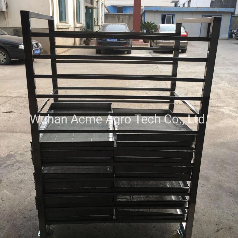 Fruit and Vegetable and Fruits Dryer Fruit Drying Production Line