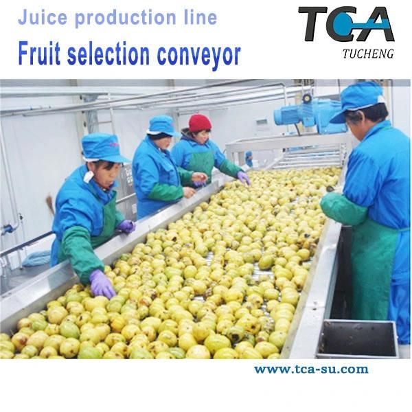 Concentrated Apple Juice/ Pear Juice Processing Equipment