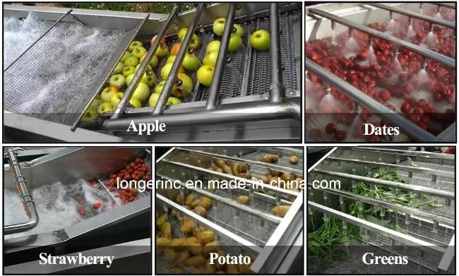 Ce Approved Industrial Fruit Washing Machine with High Quality