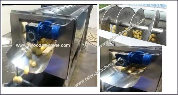 Jicama Skin Peeling Machine and Jicama Washing Machine
